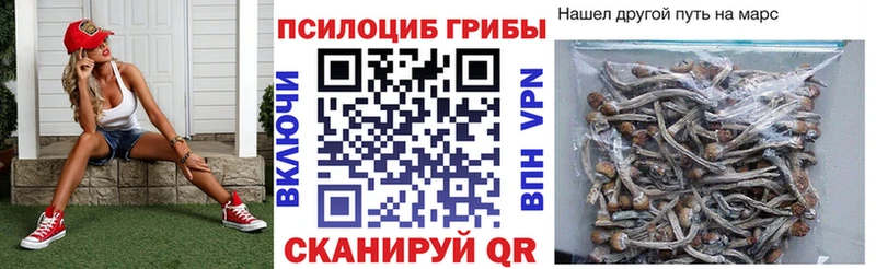 как найти   Севск  Галлюциногенные грибы мицелий 